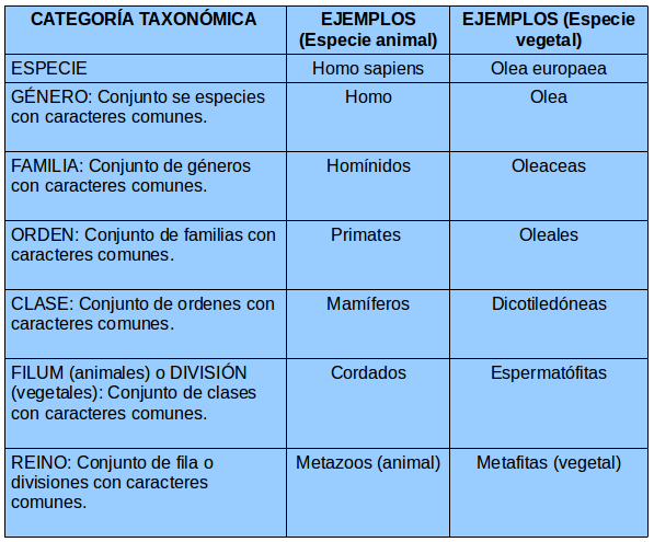 BIOLOGÍA 8 Y 9: 3 Lección: Categorías Taxonómicas.: 3 LECCIÓN ...